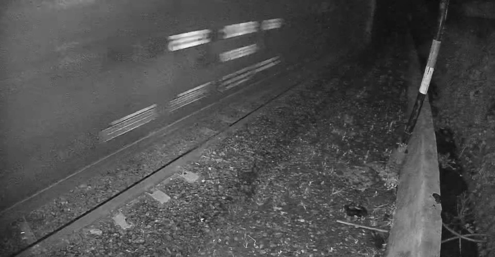 2026-05-05 23:43:57.jpg